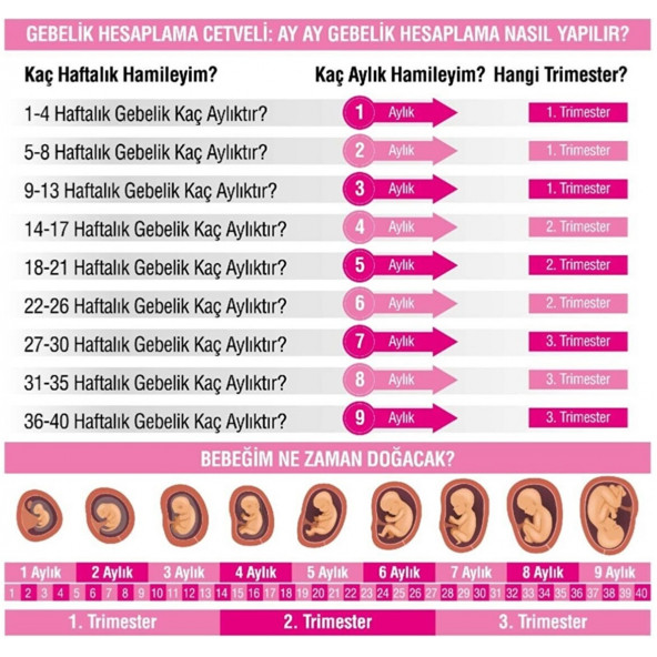 Folikosal Folik Asit 400 Mcg 120 Tablet B9 Folic Acid Vitamin İçeren Besin Takviye Edici Gıda ( Biosal Folikosal ) - 2