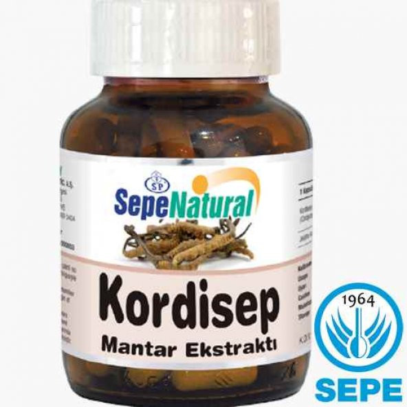 Cordyceps Extract 90 Kapsül 430 mg Kordisep Mantar Ekstresi