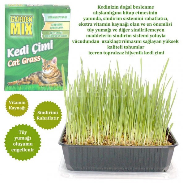 Garden Mix Kedi Çimi 13*18 cm - 2