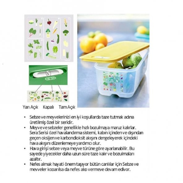 Tupperware SERA 1.8 LT DİKEY SEBZE MEYVE SAKLAMA KABI HSGL - 4