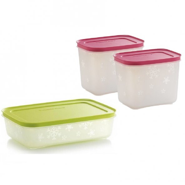 Tupperware ALASKA SET ( 1.1 LT-1 LT ) BUZLUK SAKLAMA KABI HSGL