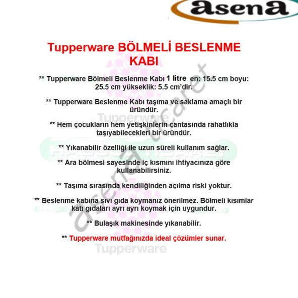 Tupperware BÖLMELİ BESLENME KUTUSU ( TURKUAZ ) HSGL - 4