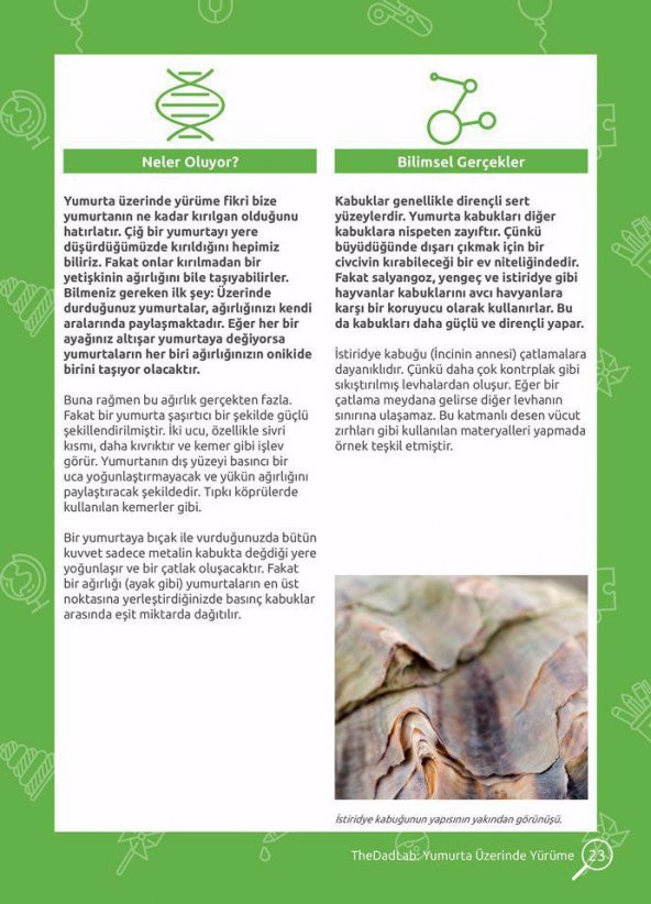 TheDadLab STEM Deneyleriyle Eğlenceli Bilim - 5