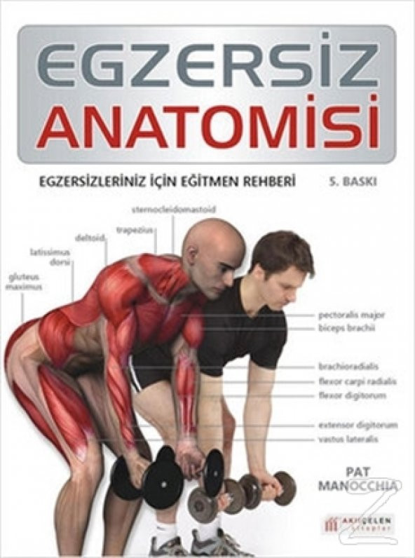 Egzersiz Anatomisi/Pat Manocchia