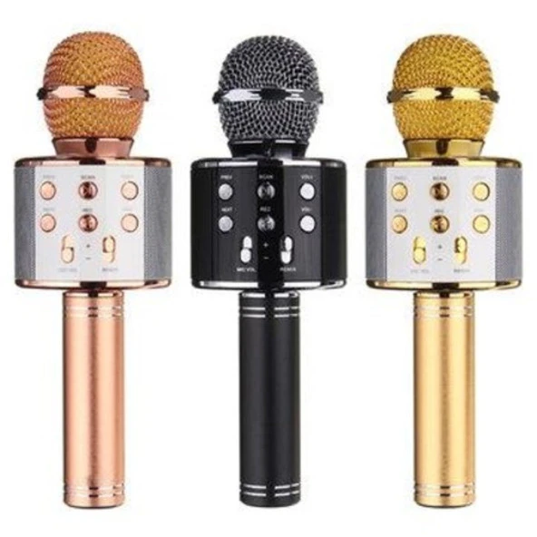 Orijinal Karaoke bluetooth mikrofon WSTER WS-858 Usb Ses Değiştir