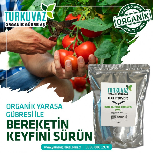 Turkuvaz Bat Power 10 Kg. Organik Mikron Toz Yarasa Gübresi - 4