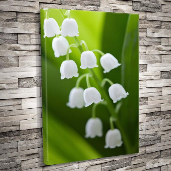 Bahar -Yeşil Yapraklar - Beyaz Çiçek - Botanik - Doğa - Peyzaj - 50x70cm Dekoratif Kanvas Tablo