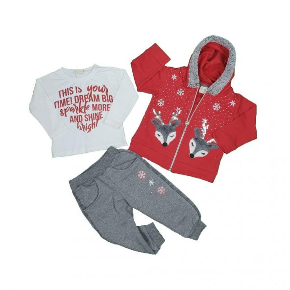 Kız Bebek Ceylan Modelli Kapşonlu Üçlü Takım 1-4 - 2