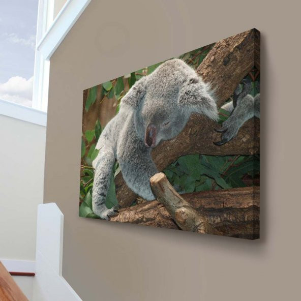 Ağaçta Uyuyan Koala - Yapraklar - Sevimli Hayvan - Doğa 70x100cm Dekoratif Kanvas Tablo