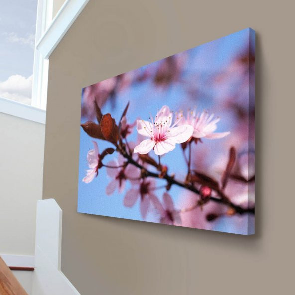 Kiraz Çiçeği - Kiraz Ağacı Çiçekleri - Doğa - Bitki - Gökyüzü 70x100cm Dekoratif Kanvas Tablo