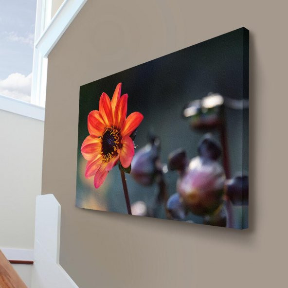 Hoş Çiçek -Sarı Turuncu Dalya - Bahçe- Tomurcuk - Doğa - Manzara 70x100cm Dekoratif Kanvas Tablo