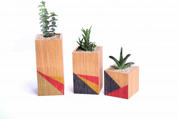 Wooden+ Tribe 3lü Renkli Saksı Meşe Ağacı