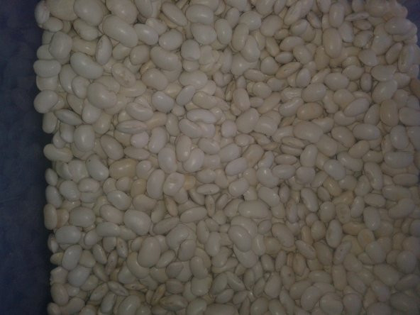 Erzurum yöresel gıda-hınıs(horoz)fasulyesi 1 kg - 3