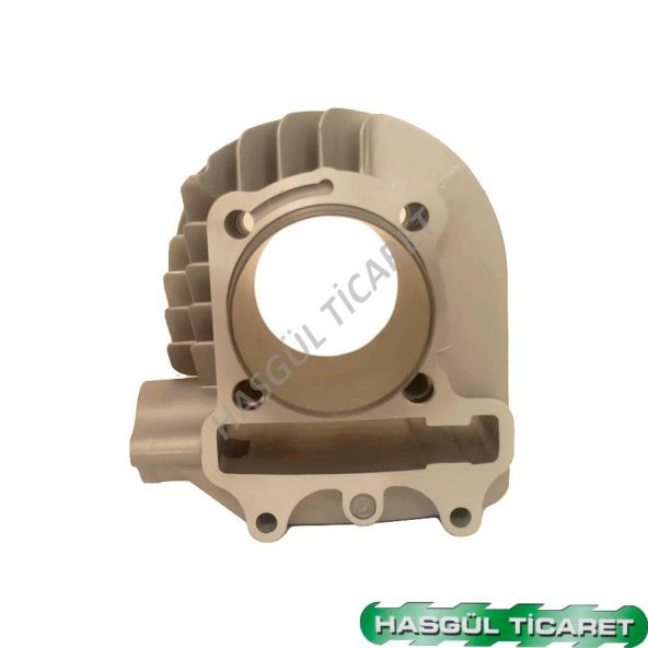 HSGL HONDA FIZZY SİLİNDİR TKM - Resim 2
