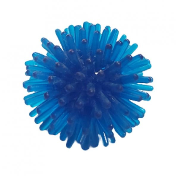 Chiwawa Kedi Oyun Topu