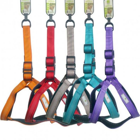 Nunbell Köpek Gögüs Tasması 2.5 cm