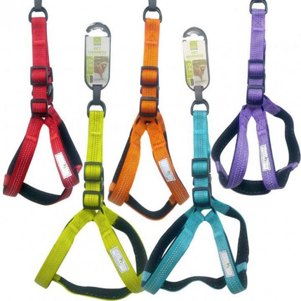 Nunbell Köpek Gögüs Tasması 2 cm