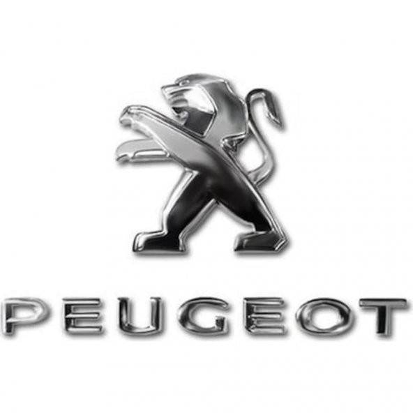 PEUGEOT 3008  ASLAN ARMA VE PEUGEOT YAZISI SETİ -2 Lİ YAZI SETİ