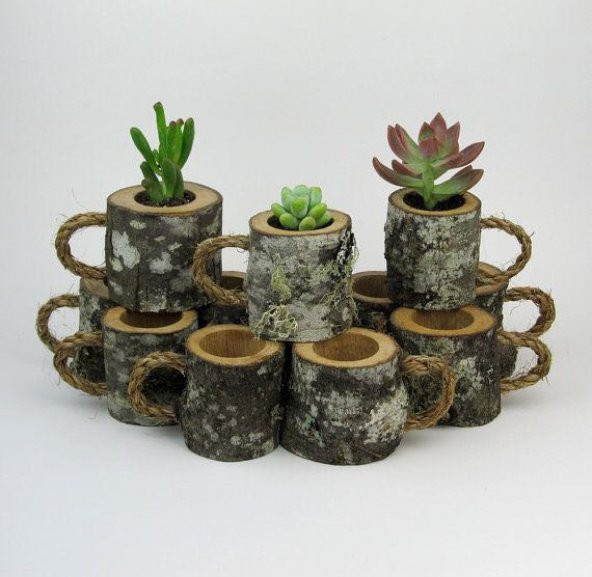 Kütük Bardak Saksı Adet ürün görseli