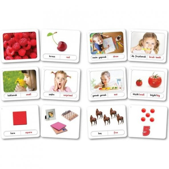 Zeka Yayınevi Bebek Kavram Kartları - (16-48 Ay) Sağ Beyin Zeka K - 2