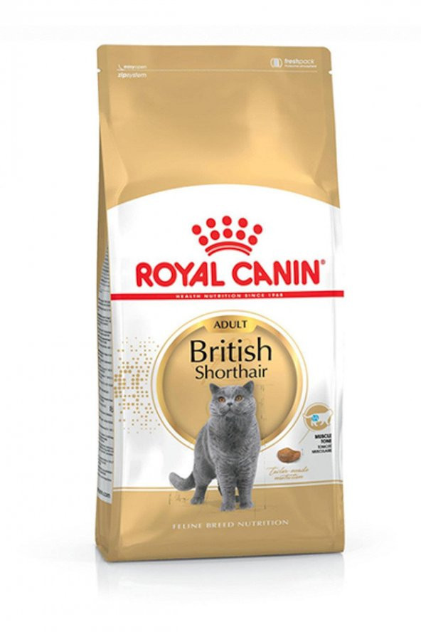 Royal Canin Adult British Shorthair Kedi Maması 10 Kg