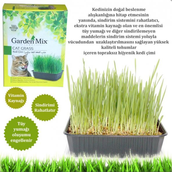 Gardenmix Kedi Çimi - 2