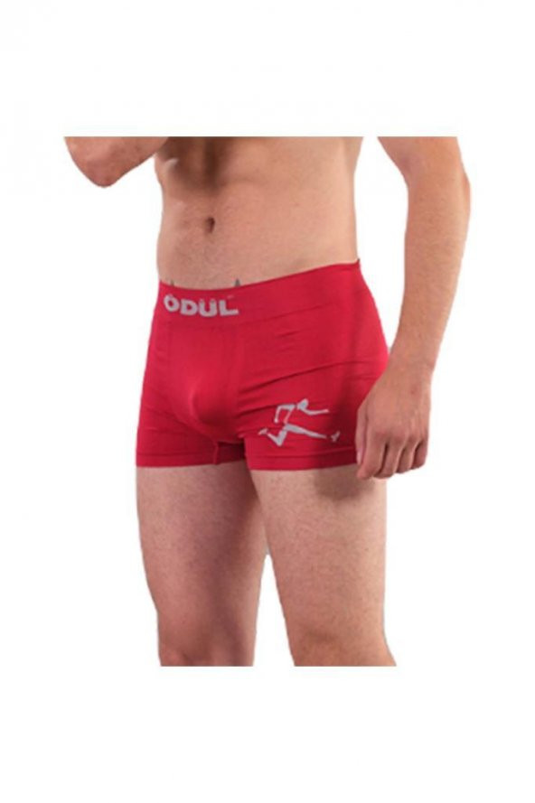 ÖDÜL 2073-3 ERKEK BOXER BORDO 3 LÜ