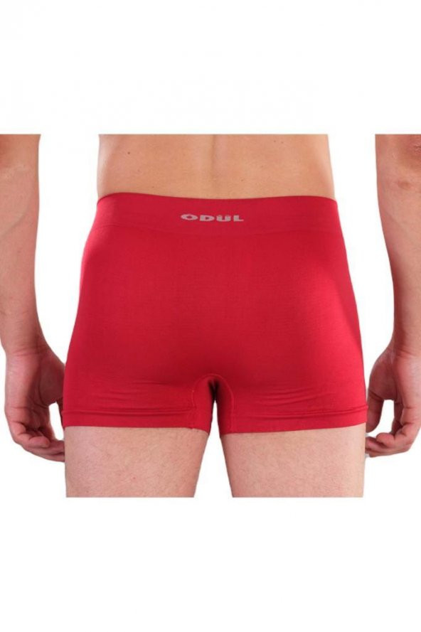 ÖDÜL 2073-3 ERKEK BOXER BORDO 3 LÜ - 2