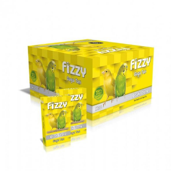 Fizzy Gaga Taşı 1 ADET