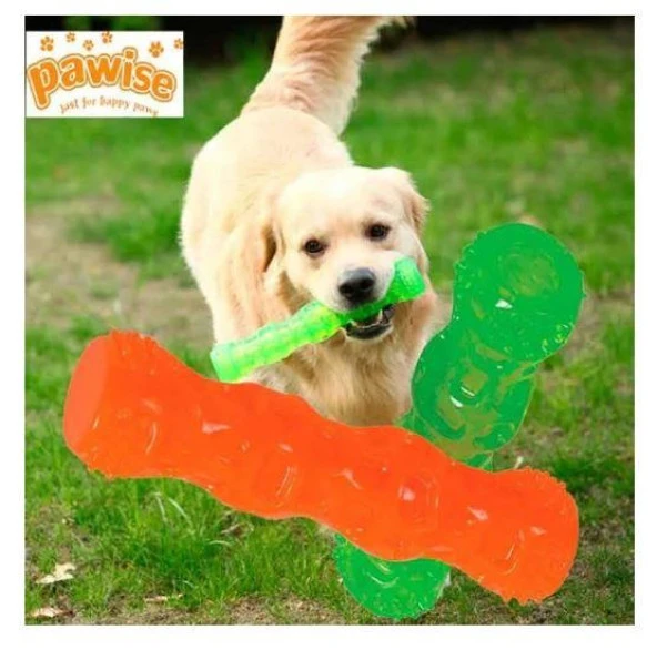 Pawise Kauçuk Sesli Renkli Diş Sağlığı Köpek Oyuncağı 28 cm