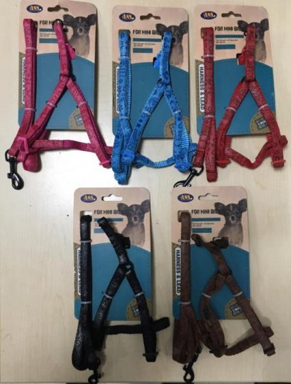 ANS Mini Breed Köpek Göğüs Tasması Deri Takım 2-4 Kg Olan Köpeklere
