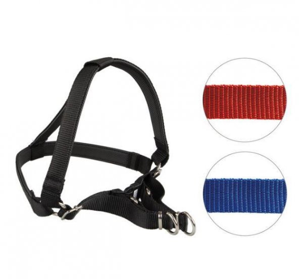 Oripet Tasma Yumuşak Dokulu Köpek Bel Tasması No:0 1-3Kg Köpeklere
