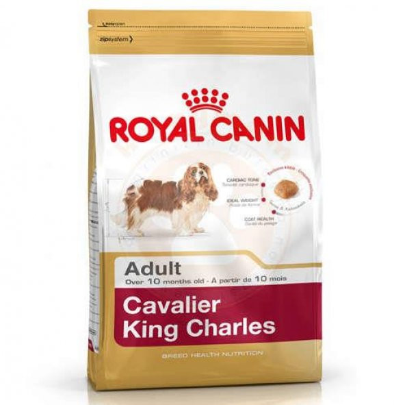 Royal Canin Cavalier King Charles Köpek Maması 1,5 Kg