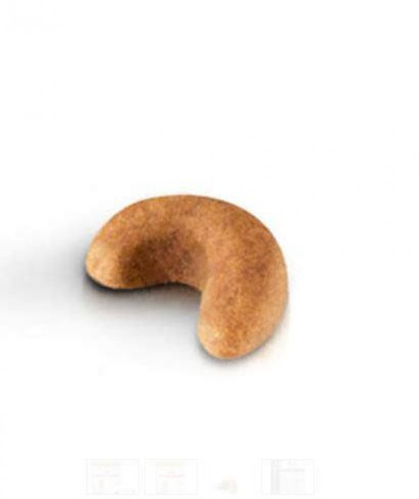 Royal Canin Cocker Junior Yavru Köpek Maması 3 Kg - 3