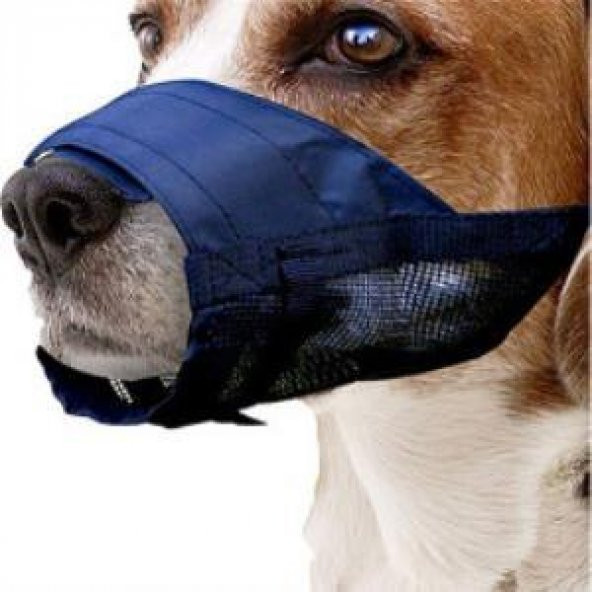 Pawise Köpek Ayarlanabilir Fileli Ağızlık No:4 Large - 3