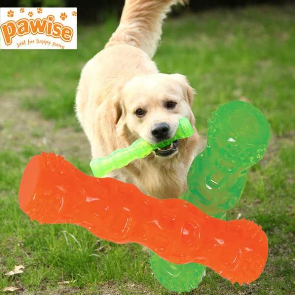 Pawise Kauçuk Sesli Renkli Diş Sağlığı Köpek Oyuncağı 18 cm ürün görseli