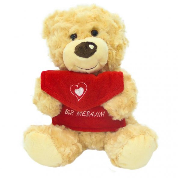 Peluş Zarflı Sevimli Ayıcık - 2