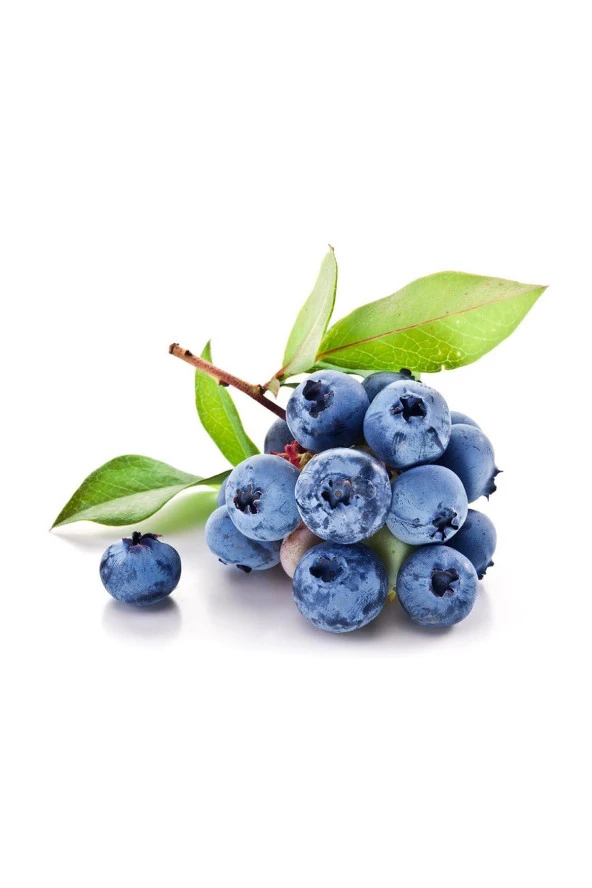 Organik Bitkim Yaban Mersini Kurusu 1000 gr - 3