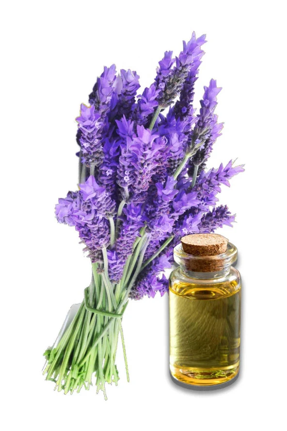 Balen Lavanta Yağı Distilasyon 20 ml 4 Adet - Resim 3