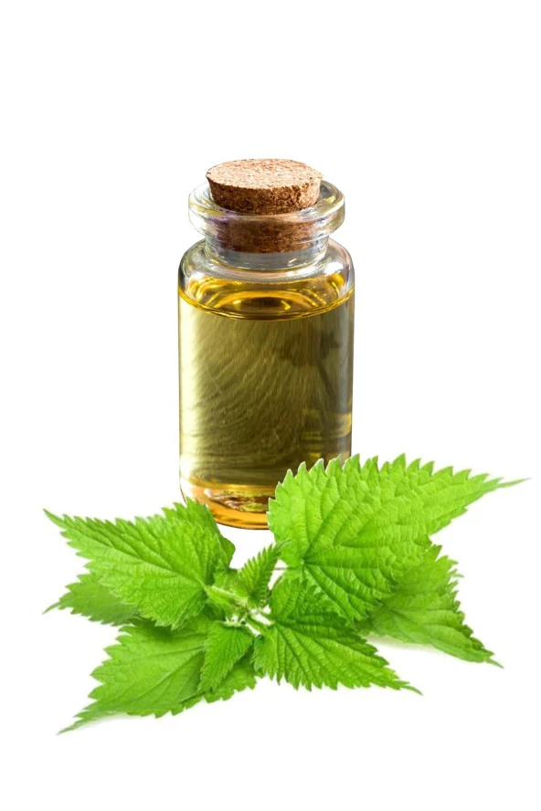 Balen Isırgan Tohumu Yağı Soğuk Pres 20 ml 3 Adet - Resim 3