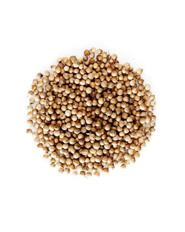 Organik Bitkim Tane Kişniş 250 gr - Resim 3