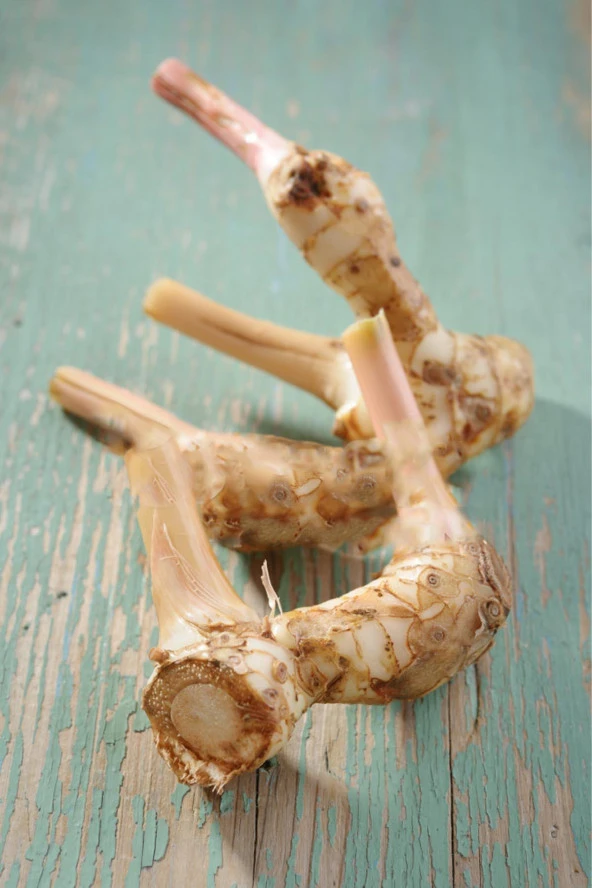 Organik Bitkim Havlıcan Kök-Tane 500 gr - Resim 4