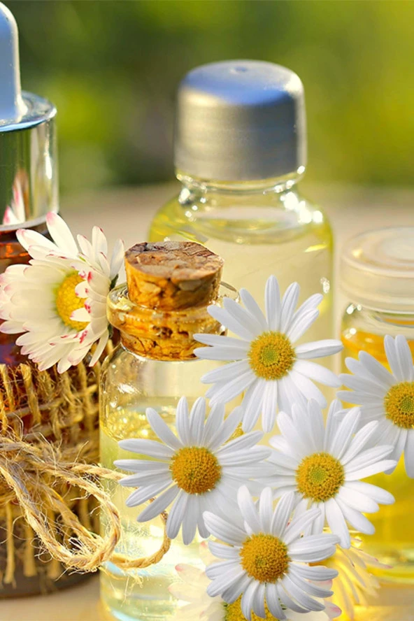 Balen Papatya Yağı (Maserasyon) 20 ml 3 Adet - Resim 3