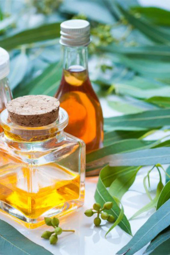 Balen Okaliptüs Yağı Distilasyon 20 ml 4 Adet - Resim 3