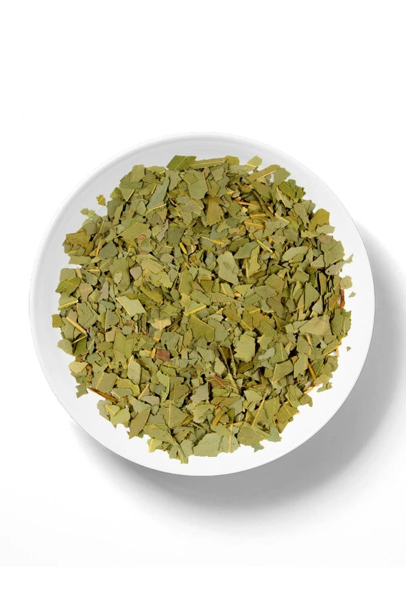 Organik Bitkim Okaliptus Yaprağı 1000 gr - Resim 2