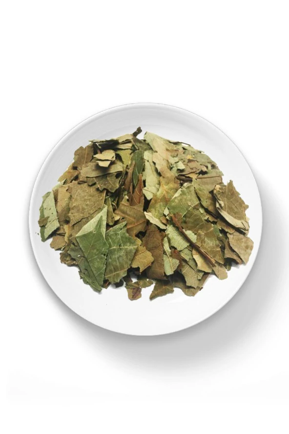 Organik Bitkim Avokado Yaprağı 150 gr - Resim 2