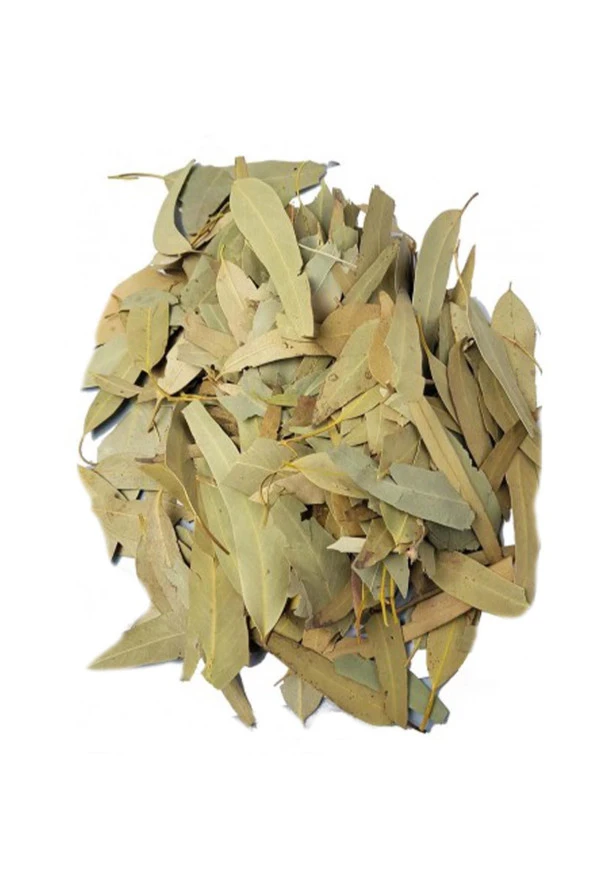 İstanbul Baharat Okaliptüs Yaprağı 50 gr x 4 Adet - Resim 4