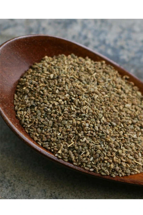 Organik Bitkim Kereviz Tohumu 1 kg - Resim 4