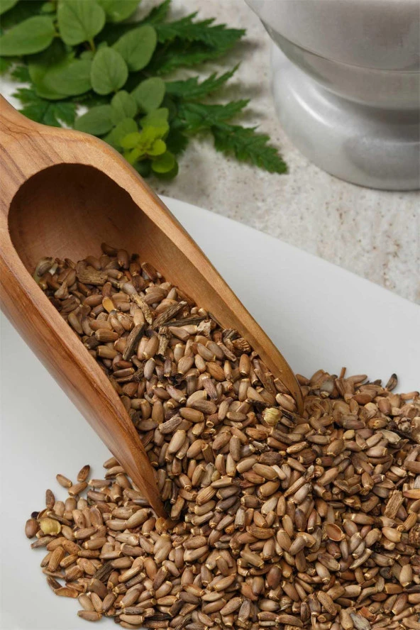 Organik Bitkim Deve Dikeni Tohumu 250 gr - Resim 3