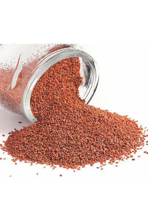 Organik Bitkim Tane Tere Tohumu 500 gr - Resim 3